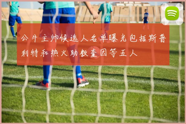 公牛主帅候选人名单曝光包括斯普利特和热火助教奎因等五人
